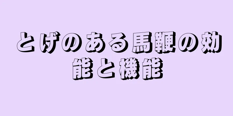 とげのある馬鞭の効能と機能