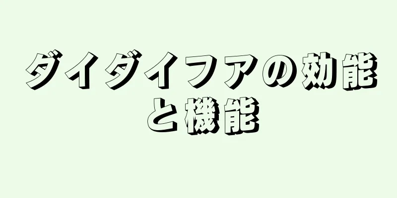 ダイダイフアの効能と機能