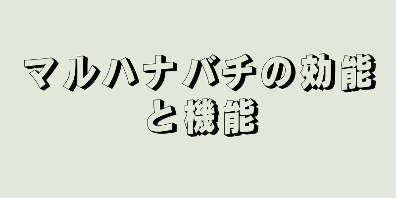 マルハナバチの効能と機能