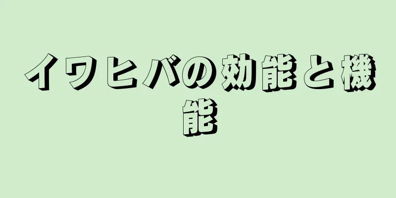 イワヒバの効能と機能