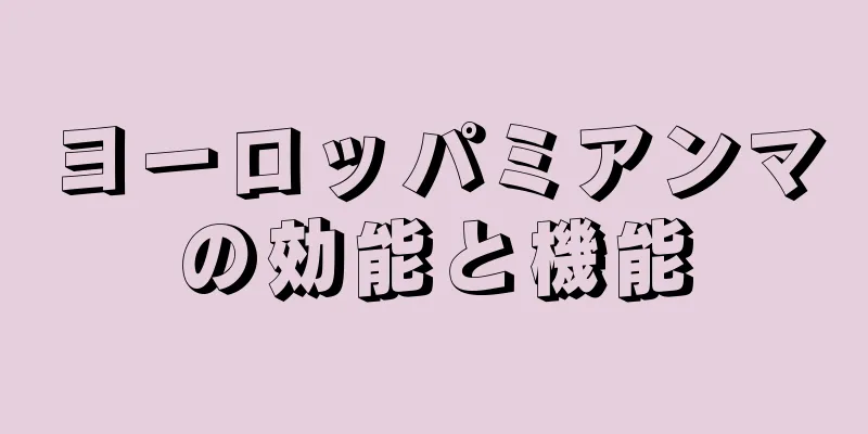 ヨーロッパミアンマの効能と機能
