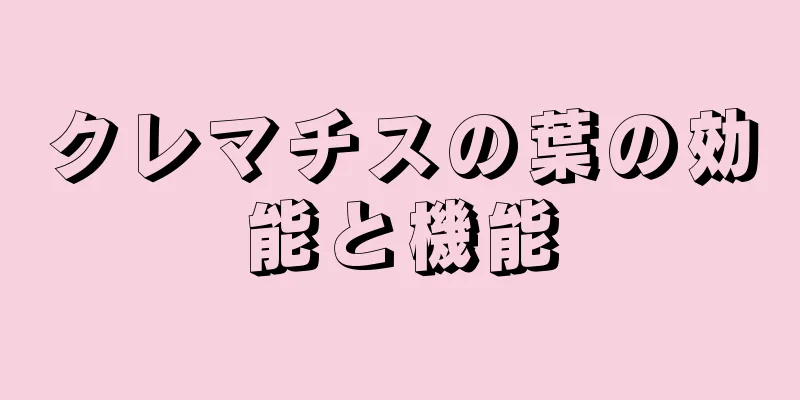 クレマチスの葉の効能と機能