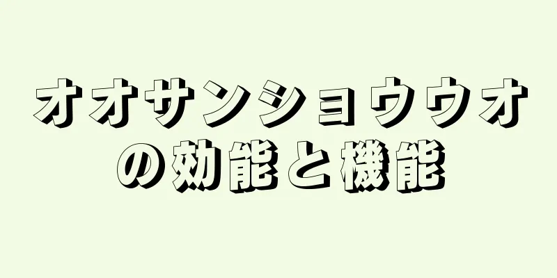 オオサンショウウオの効能と機能
