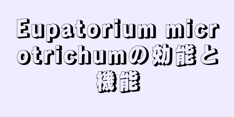 Eupatorium microtrichumの効能と機能