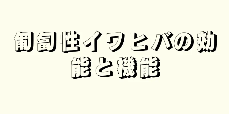 匍匐性イワヒバの効能と機能