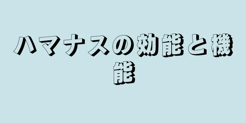 ハマナスの効能と機能
