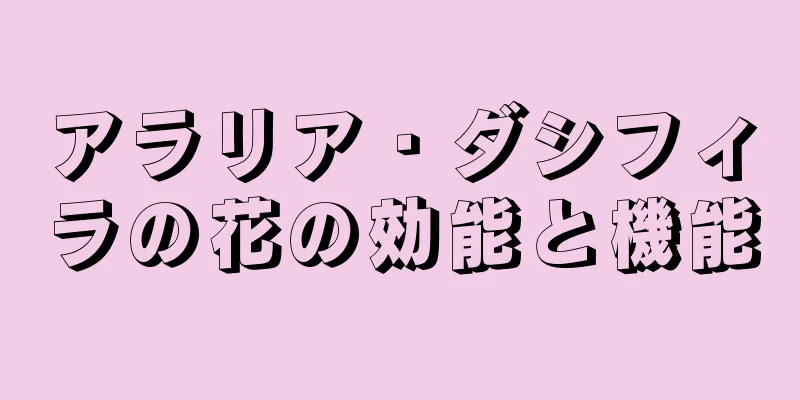 アラリア・ダシフィラの花の効能と機能