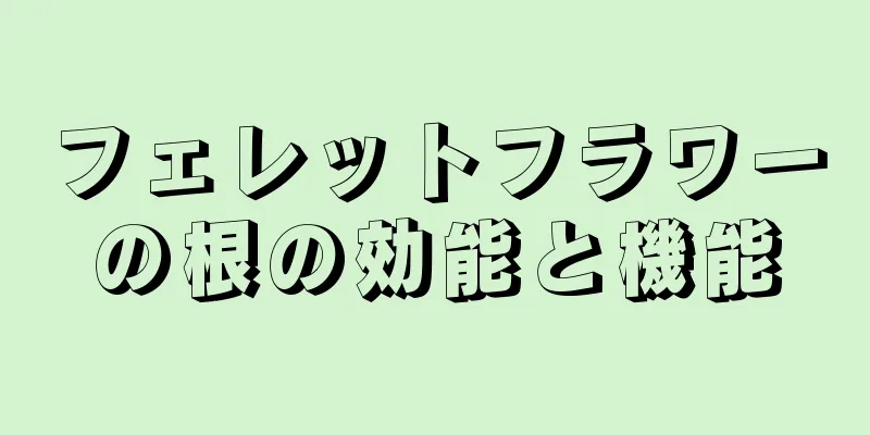 フェレットフラワーの根の効能と機能