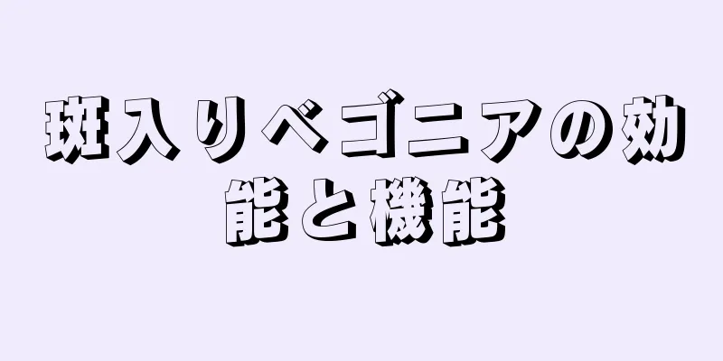 斑入りベゴニアの効能と機能