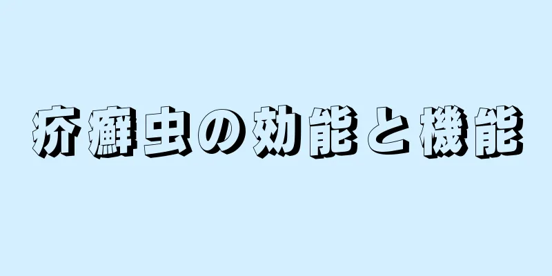 疥癬虫の効能と機能