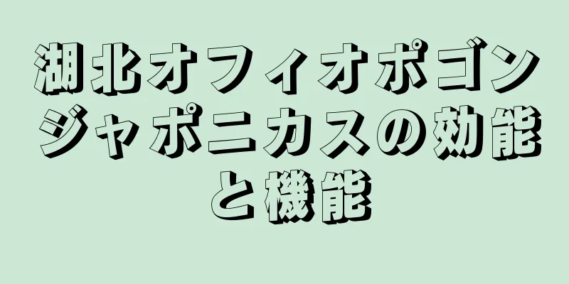 湖北オフィオポゴンジャポニカスの効能と機能