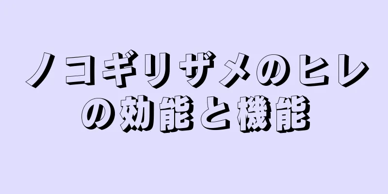ノコギリザメのヒレの効能と機能