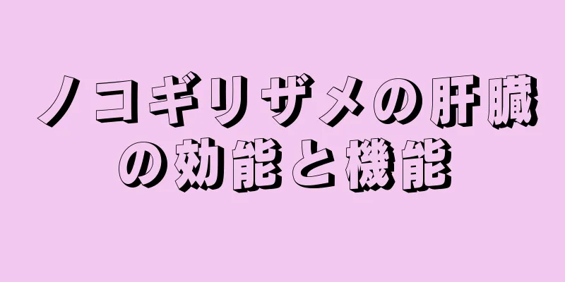 ノコギリザメの肝臓の効能と機能