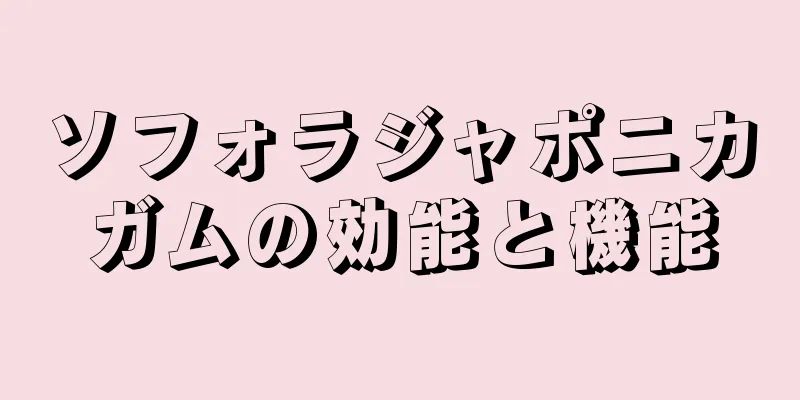 ソフォラジャポニカガムの効能と機能