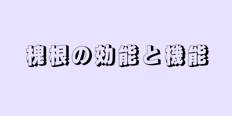 槐根の効能と機能