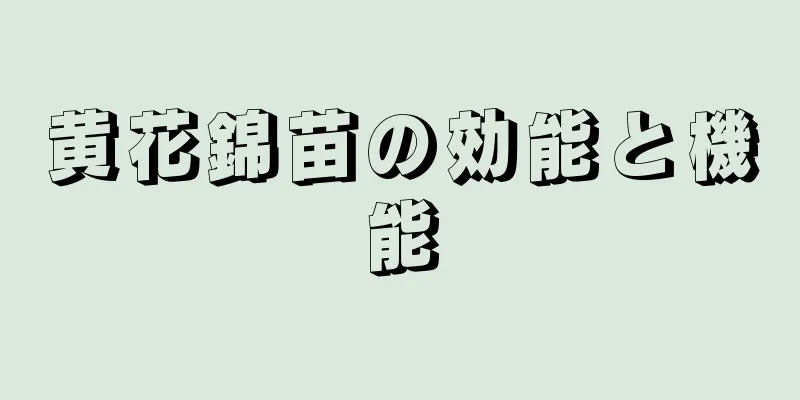 黄花錦苗の効能と機能