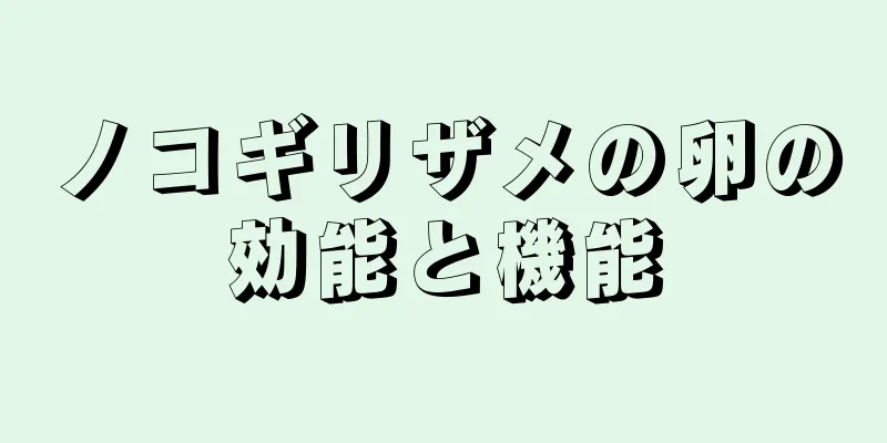 ノコギリザメの卵の効能と機能