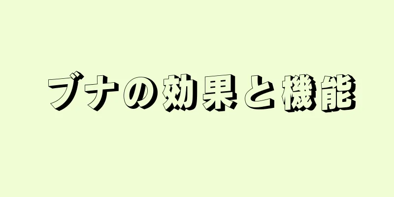 ブナの効果と機能