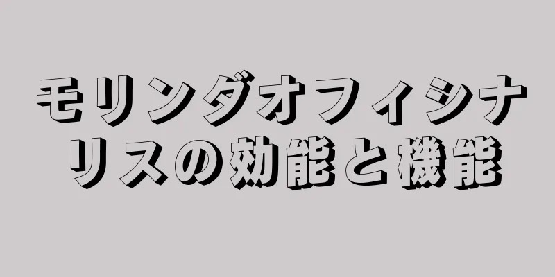 モリンダオフィシナリスの効能と機能