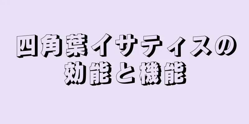 四角葉イサティスの効能と機能