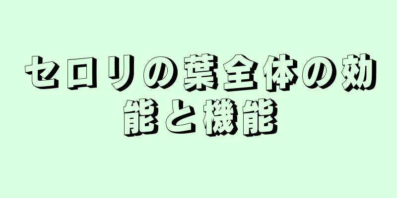 セロリの葉全体の効能と機能