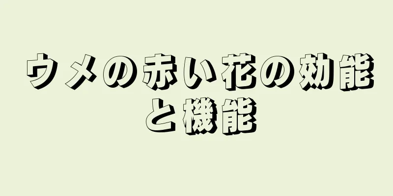 ウメの赤い花の効能と機能