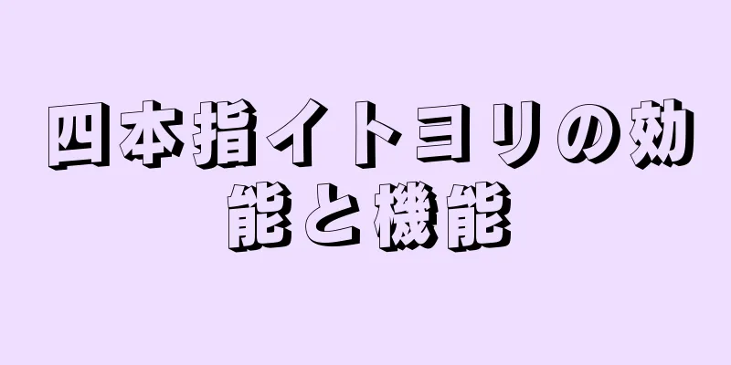 四本指イトヨリの効能と機能