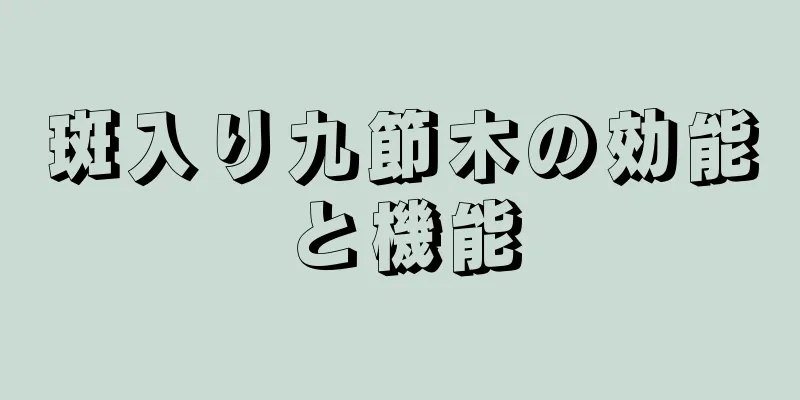 斑入り九節木の効能と機能