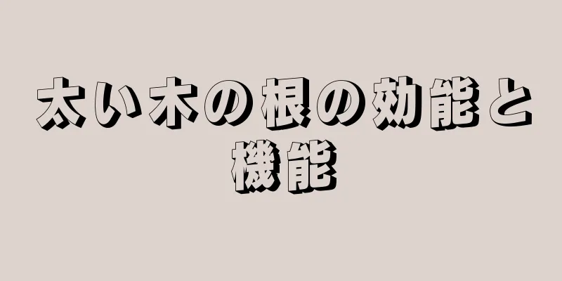 太い木の根の効能と機能