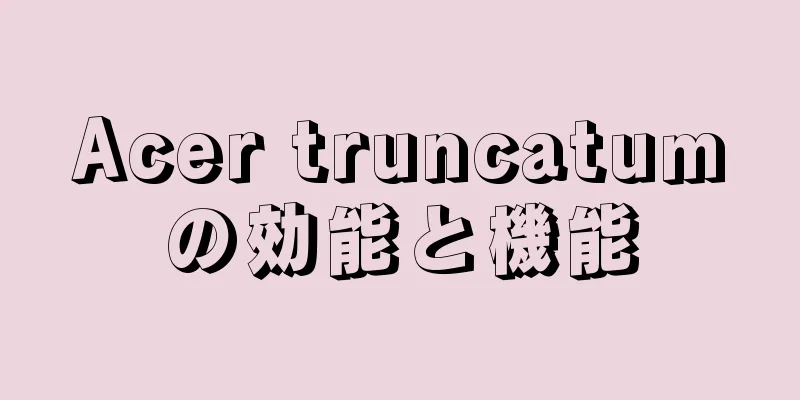 Acer truncatumの効能と機能