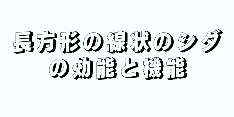 長方形の線状のシダの効能と機能