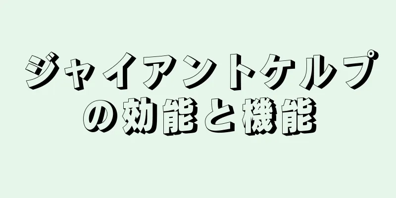 ジャイアントケルプの効能と機能
