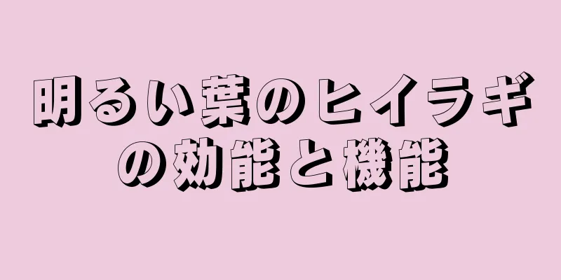 明るい葉のヒイラギの効能と機能