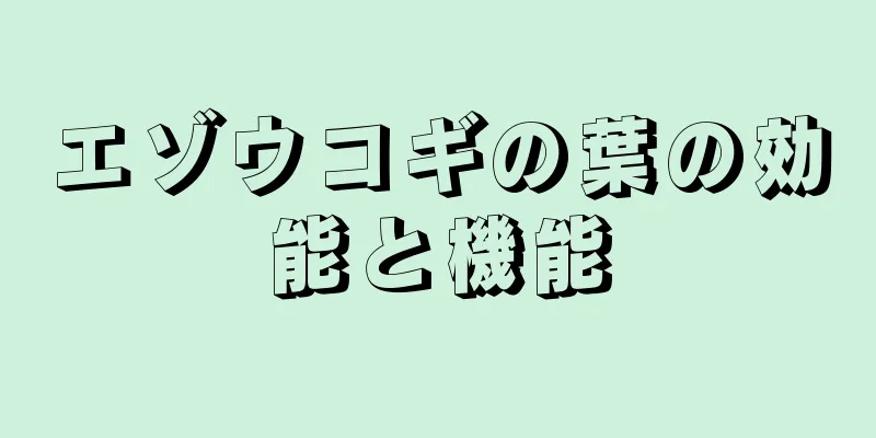 エゾウコギの葉の効能と機能