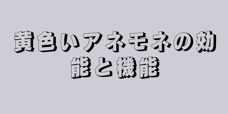 黄色いアネモネの効能と機能