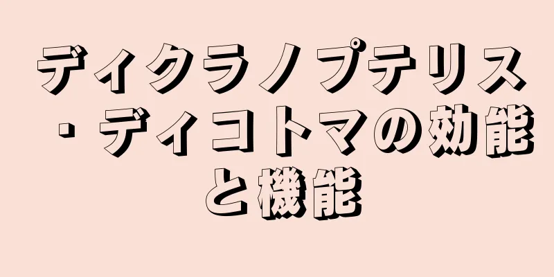ディクラノプテリス・ディコトマの効能と機能