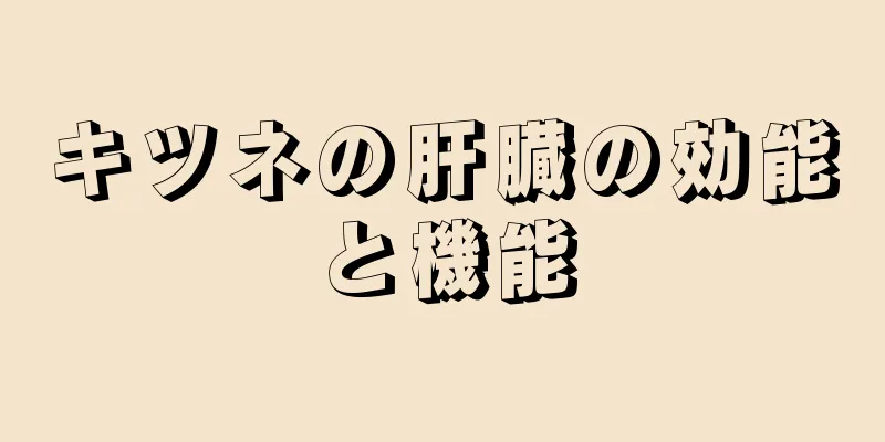 キツネの肝臓の効能と機能