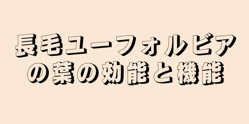 長毛ユーフォルビアの葉の効能と機能