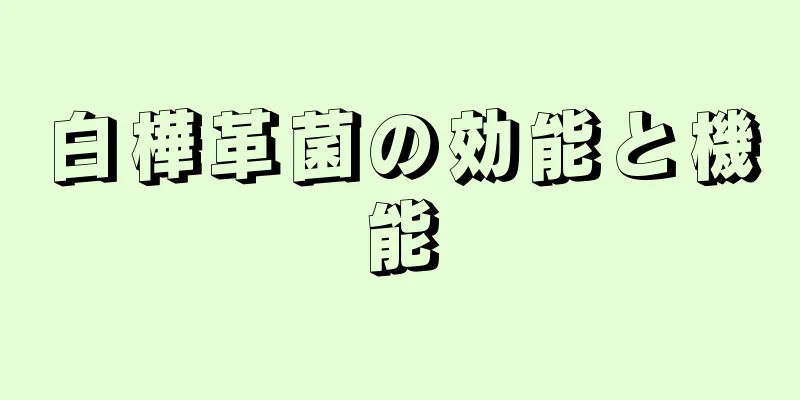 白樺革菌の効能と機能