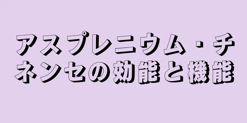 アスプレニウム・チネンセの効能と機能