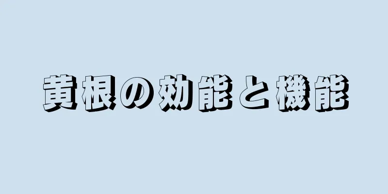 黄根の効能と機能