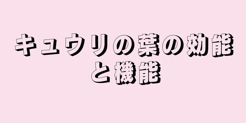 キュウリの葉の効能と機能