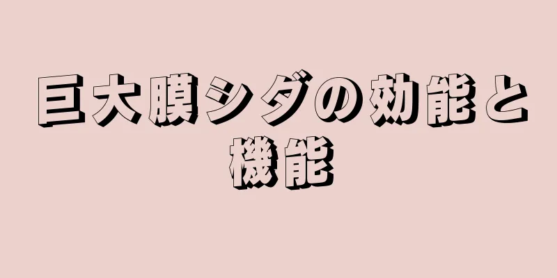 巨大膜シダの効能と機能