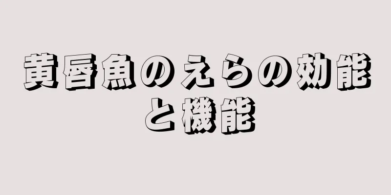 黄唇魚のえらの効能と機能