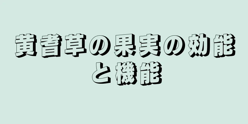 黄耆草の果実の効能と機能