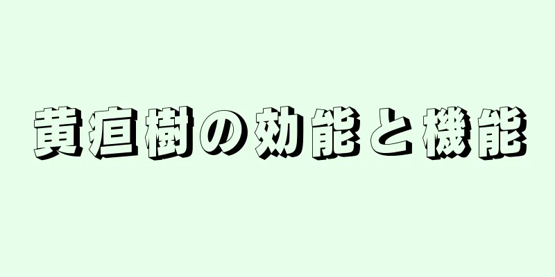 黄疸樹の効能と機能