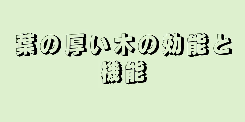葉の厚い木の効能と機能