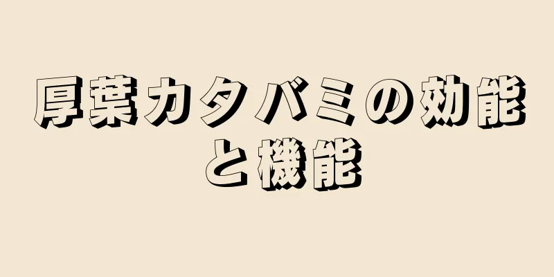 厚葉カタバミの効能と機能