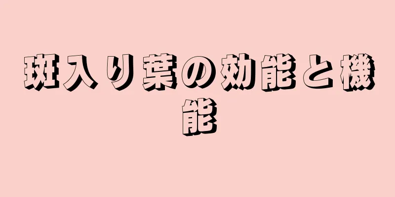 斑入り葉の効能と機能