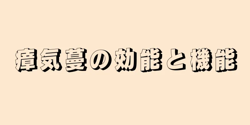 瘴気蔓の効能と機能